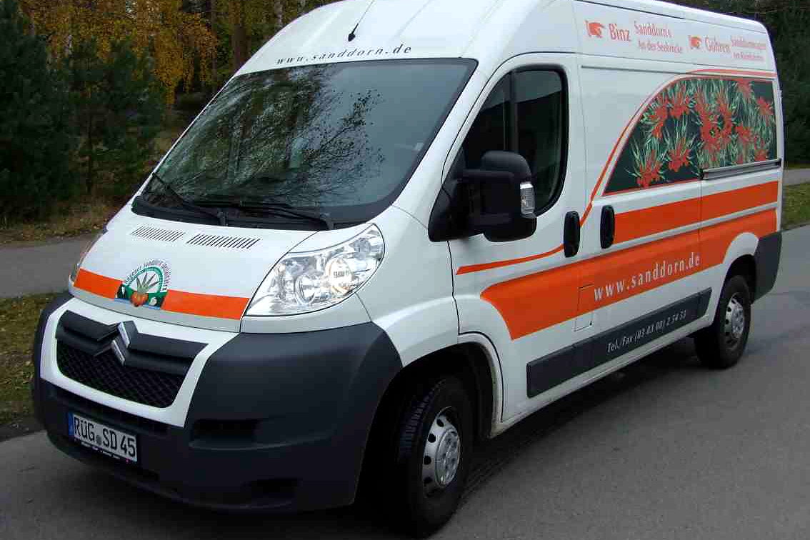 Kastenwagen mit Sanddorn-Beschriftung, orangefarbenem Zierstreifen und gedruckter Sanddornzweig-Flaeche